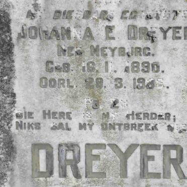 D - Vanne :: Surnames - D