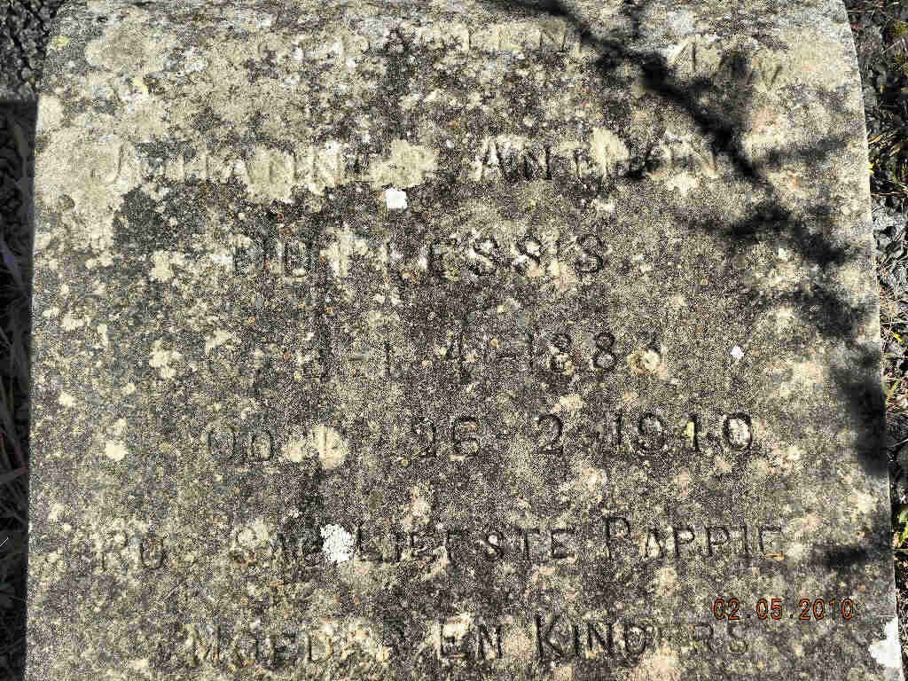 PLESSIS Johannes ? ?, du 1883-1940