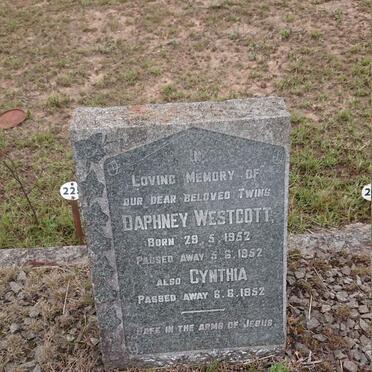 WESTCOTT Daphne 1952-1952 :: WESTCOTT Cynthia 1952-1952