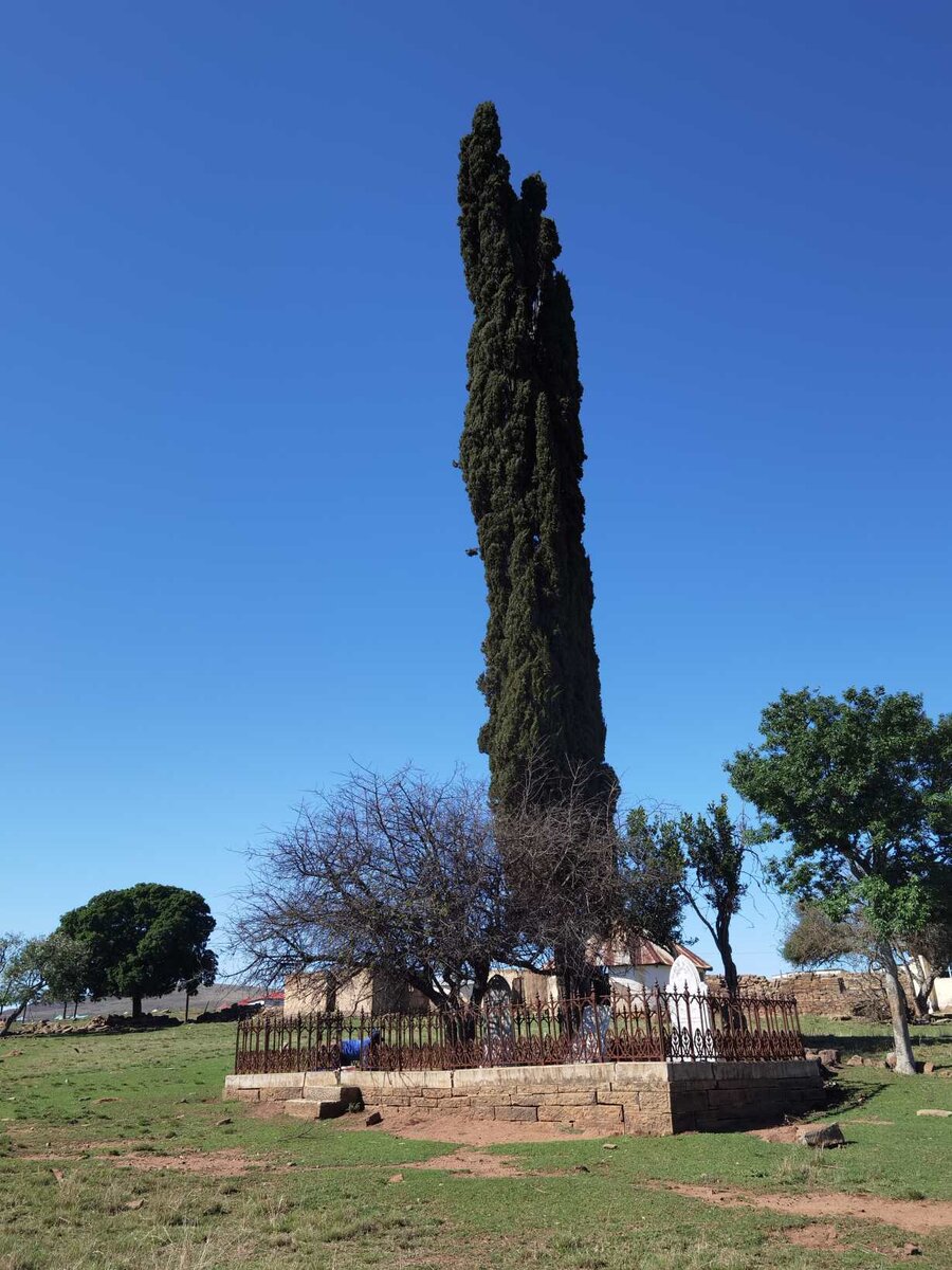 2. Overview / Oorsig