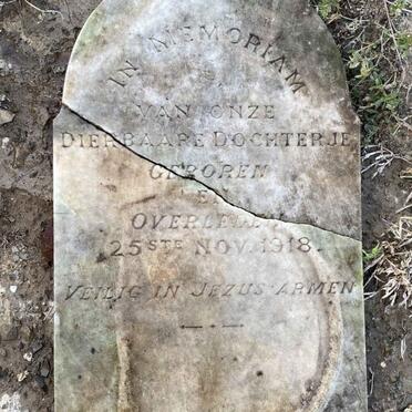 Eastern Cape, FORT BEAUFORT district, Farm 182, Koonaprivier, Engelse drif, farm cemetery