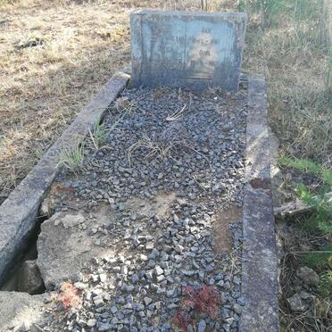 VYVER Rosa, V.D. 18?6-19?2