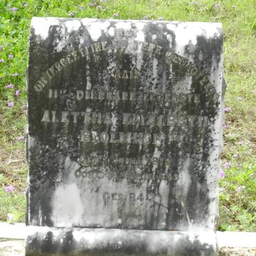 BLOEMHOF Alettha Elizabeth 1879-1939