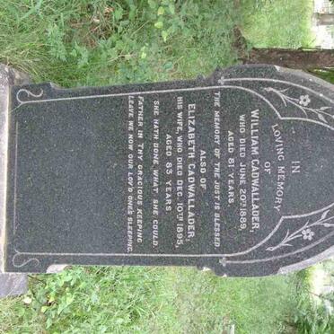 CADWALLADER -1889 &amp; Elizabeth -1895