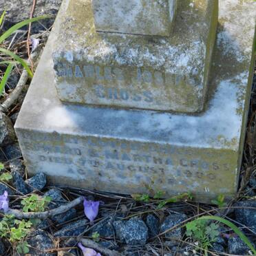 CROSS Charles Joseph -1900