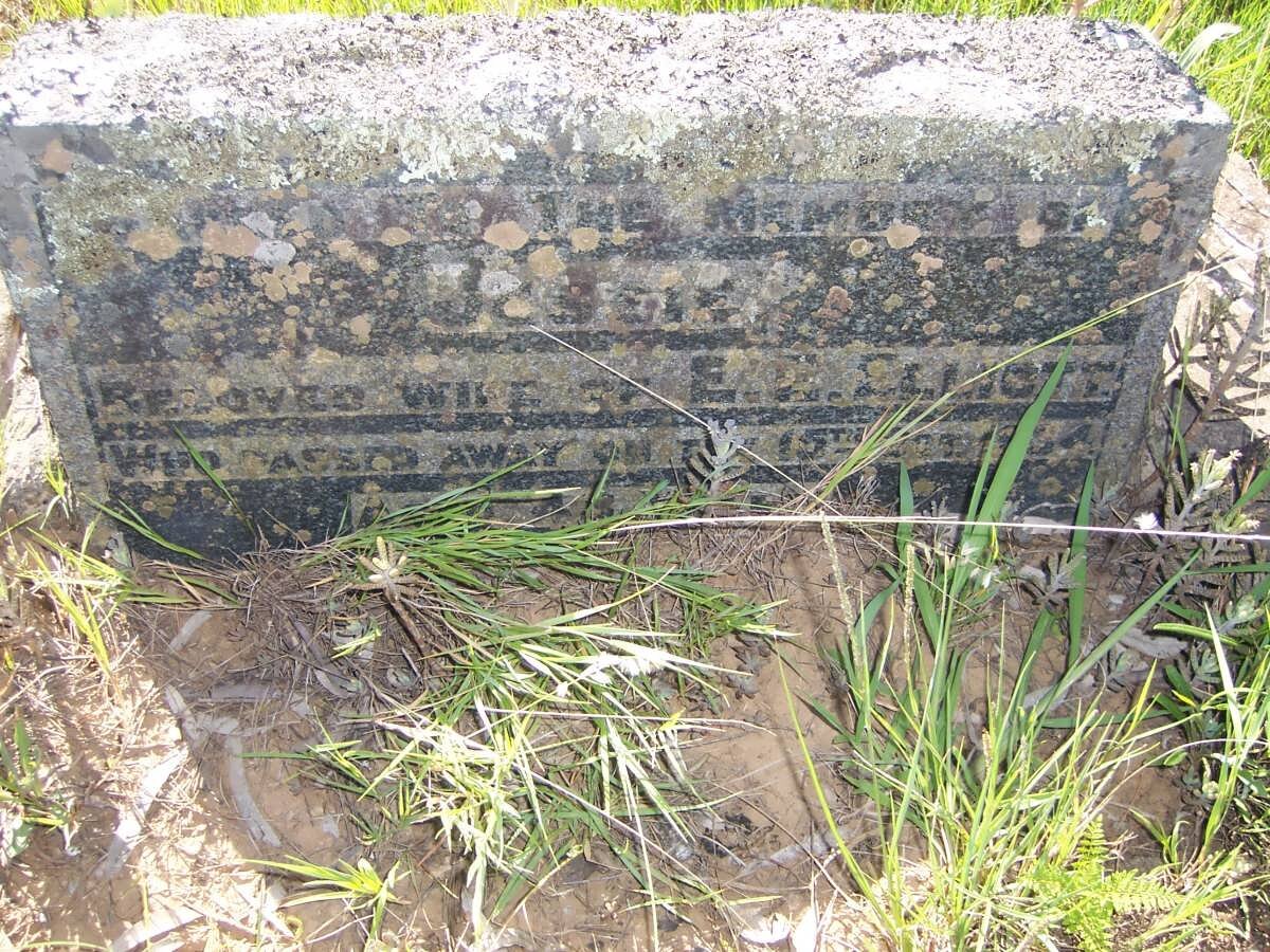 ELLIOTT Jessie  -1954