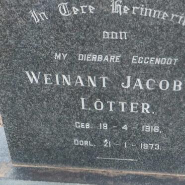 LOTTER Weinant Jacobus 1916-1973