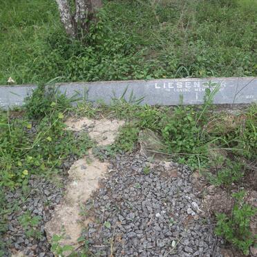 LIESENBERG Wilhelmine 1854-1948 :: LIESENBERG William Arthur 1876-1962 &amp; Lilian 1882-1961