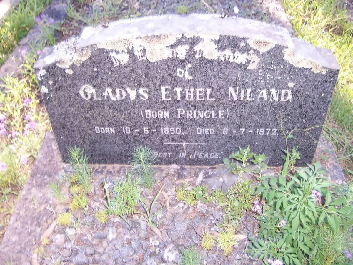 NILAND Gladys Ethel nee PRINGLE 1890-1972