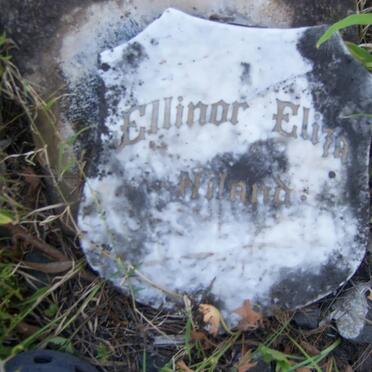 NILAND Ellinor Eliza