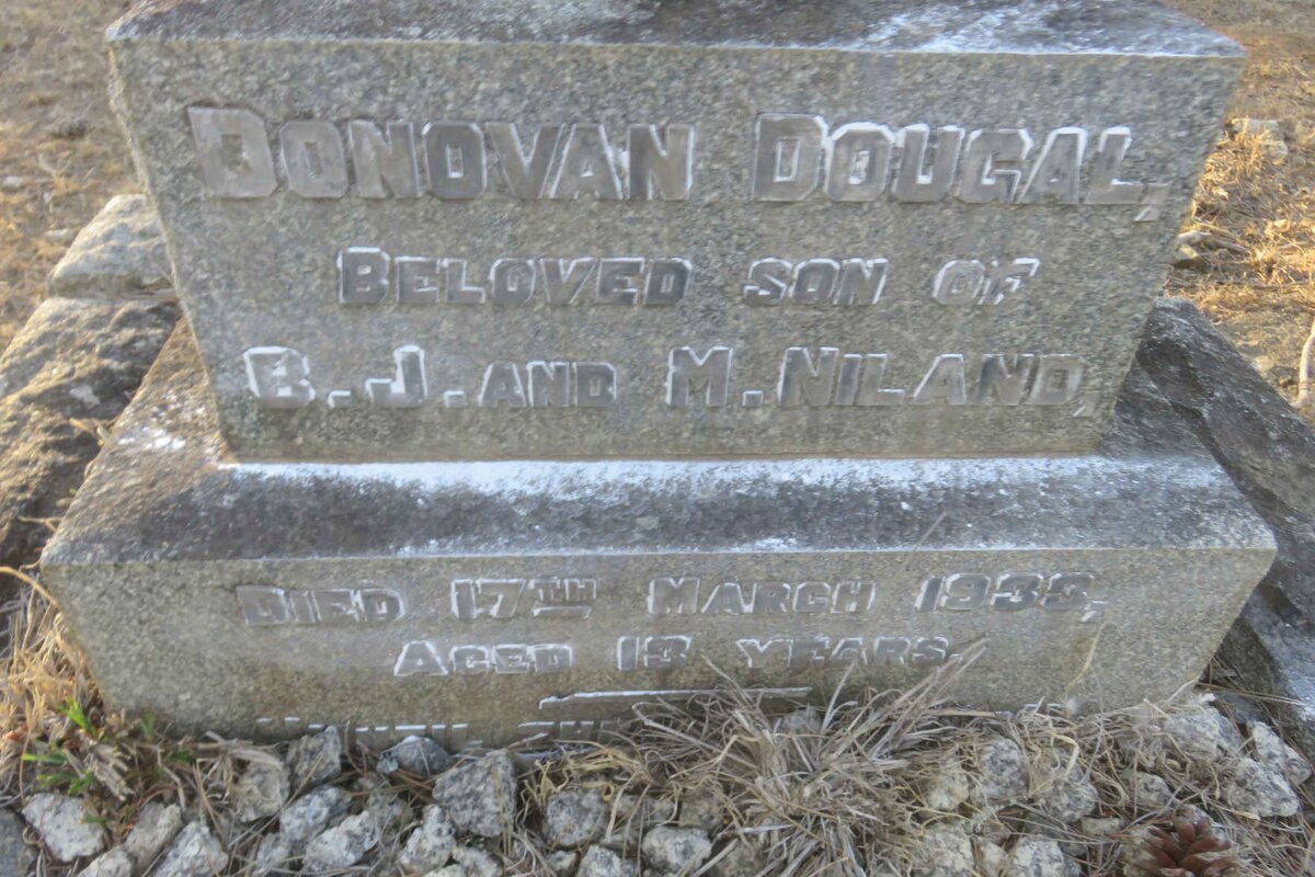 NILAND Donovan Dougal -1933