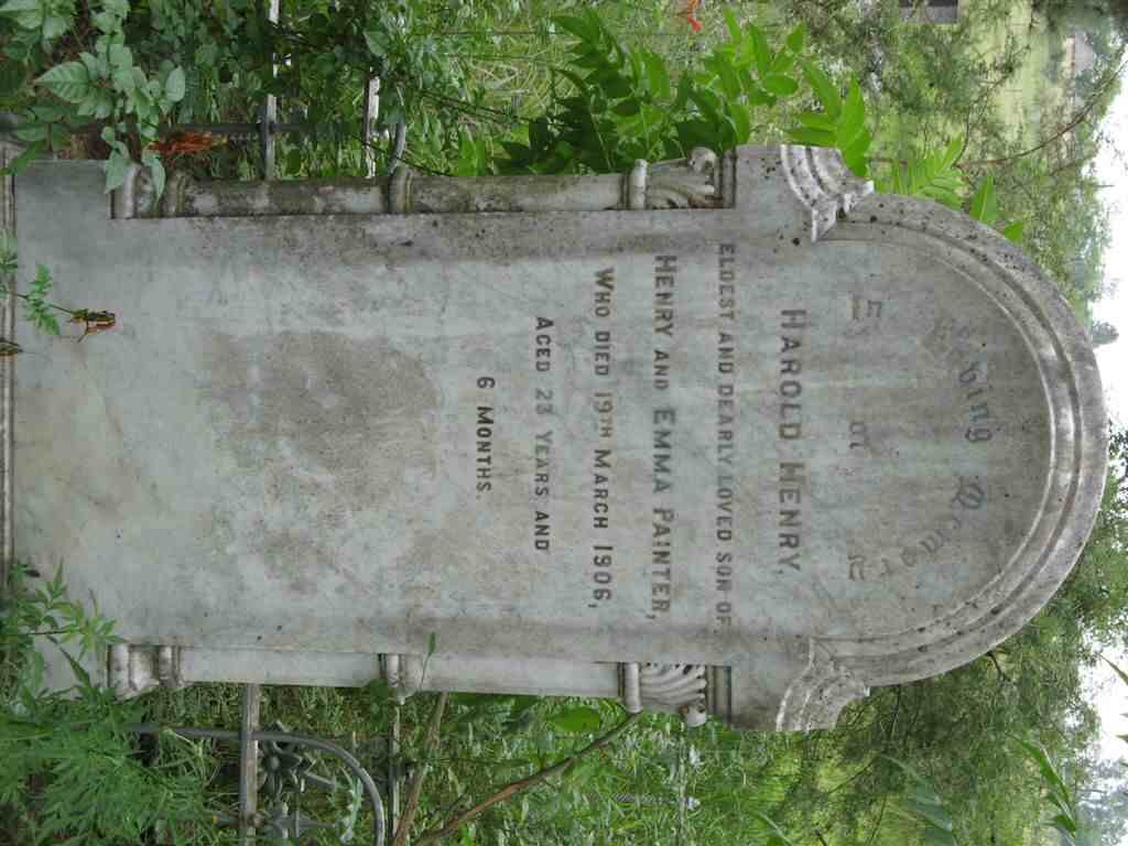 PAINTER Harold Henry -1906