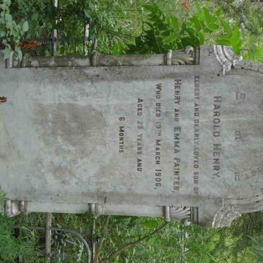 PAINTER Harold Henry -1906