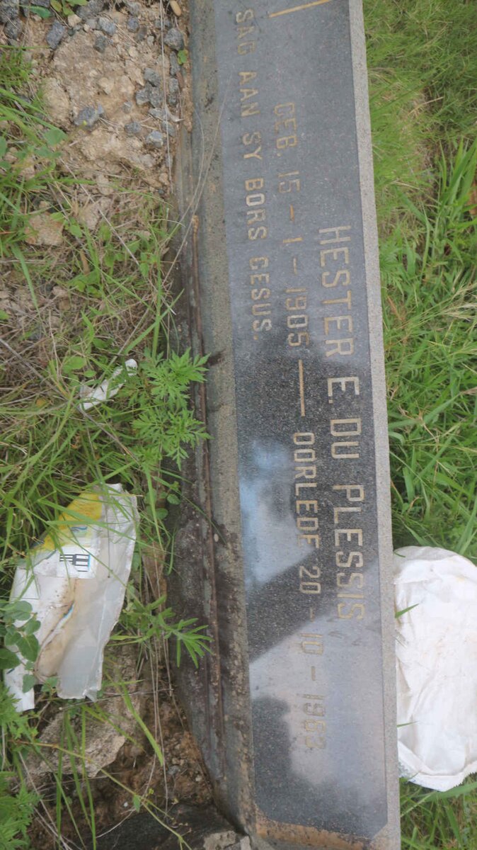 PLESSIS Hester E., du 1905-1983