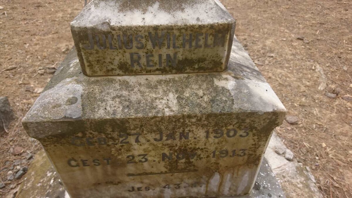 REIN Julius Wilhelm 1903-1913