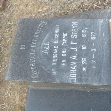 STEYN Johan A.J.F. 1915-1977 &amp; Wilhelmina LOUW 1916-1996 