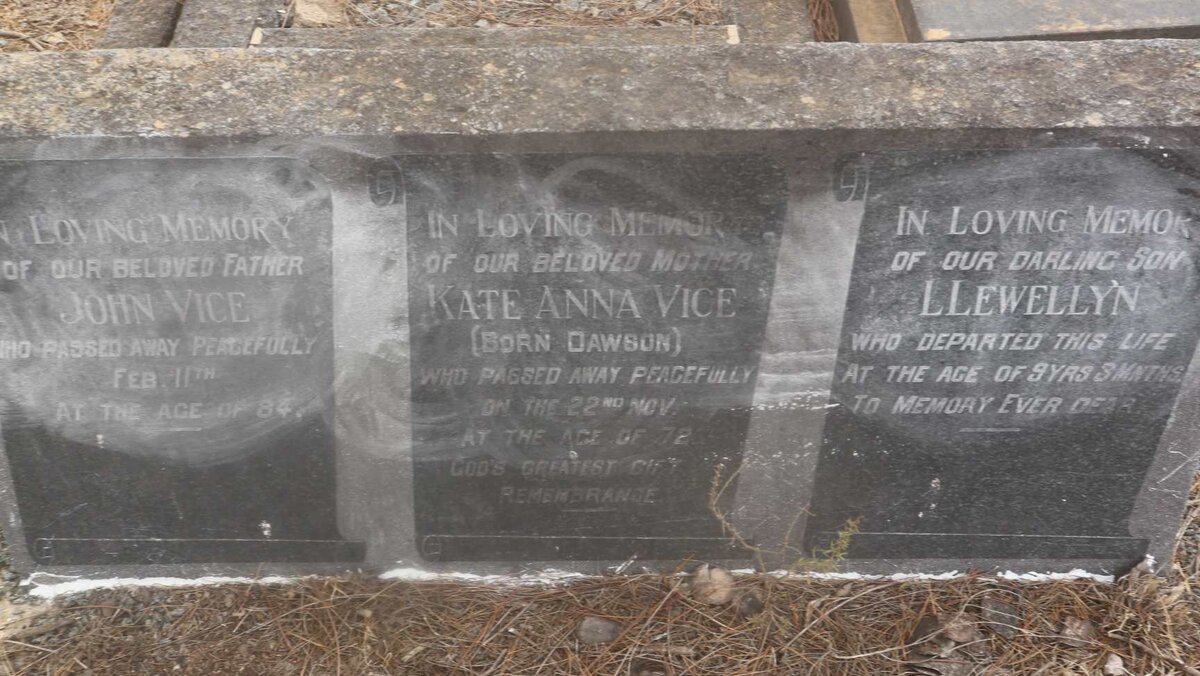 VICE John &amp; Kate Anna DAWSON :: VICE Llewellyn