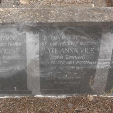 VICE John &amp; Kate Anna DAWSON :: VICE Llewellyn