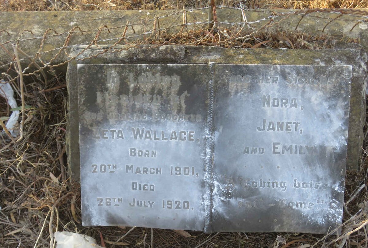 WALLACE Zeta 1901-1920