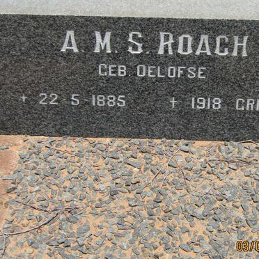 ROACH A.M.S. nee OELOFSE 1885-1918