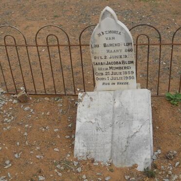 BLOM Louis Barend 1860-1937 &amp; Sarah Jacoba MOMBERG 1859-1950 :: MARAIS Barend ? -1936
