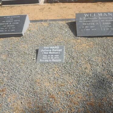 WELMAN :: HAYWARD :: LEUN