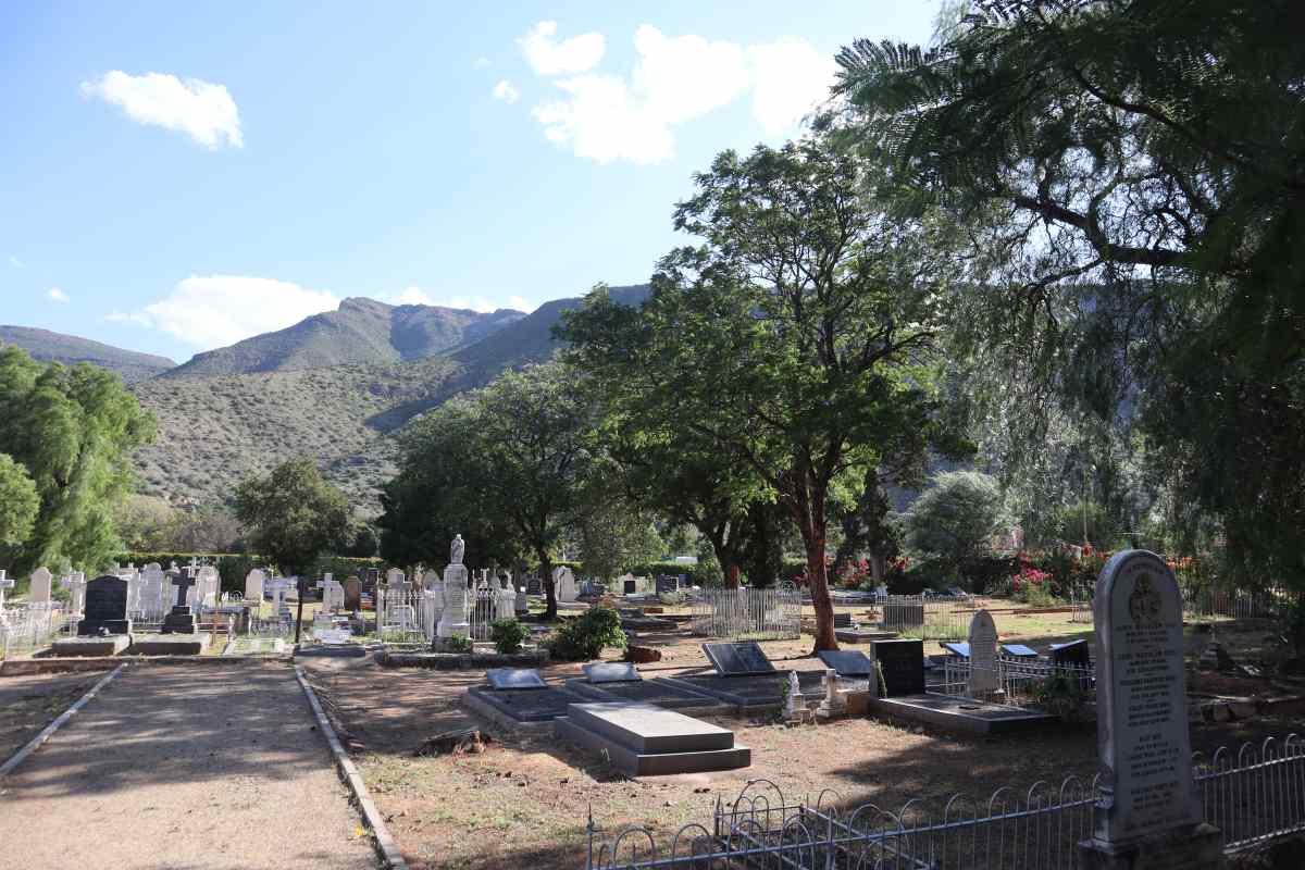 4. Overview / Oorsig