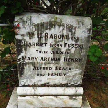 RABONE W.H. & Harriet ESSEX :: RABONE Mary :: RABONE Arthur :: RABONE Henry