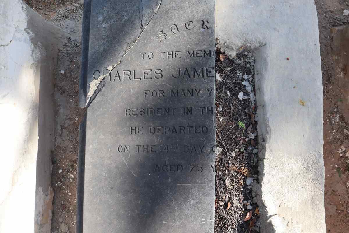 SPILLER Charles James -1866_1