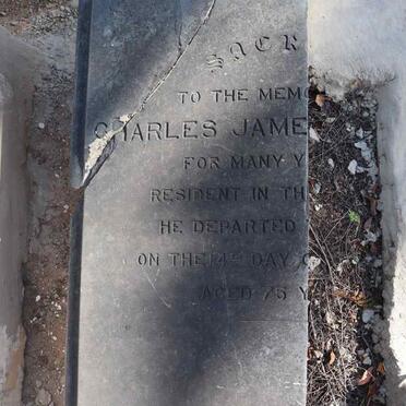 SPILLER Charles James -1866_1