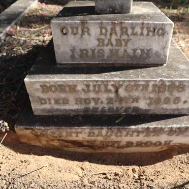 TILBROOK Iris Main 1898-1898