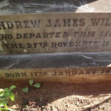 WILKINS Andrew James 1879-1899