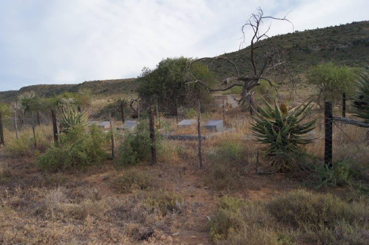 1. Overview on cemetery 