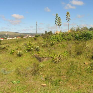 Eastern Cape, GRAHAMSTOWN, Newtown, public cemetery