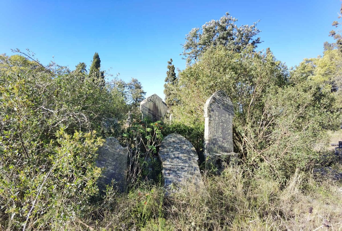 07. Overview / Oorsig