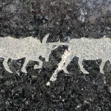 2. Overview / Oorsig