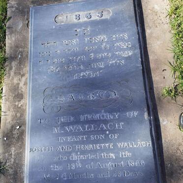 WALLACH M. 1865-1866