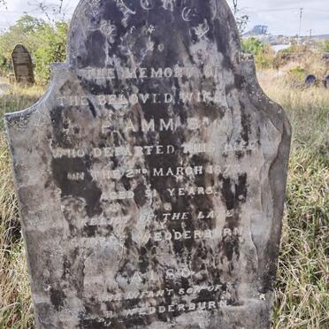 AMM Mary formerly WEDDERBURN nee CROFT -1873 :: WEDDERBURN Infant