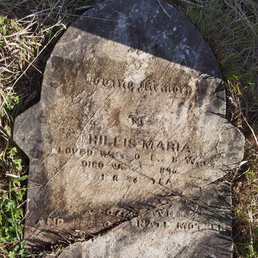 BOWLES Phillis Maria -1895