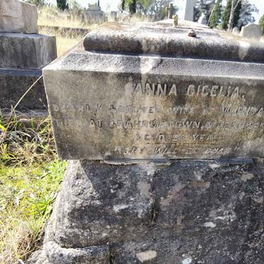 BARNES Anna Cicelia -1895