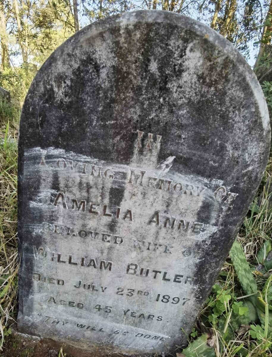 BUTLER Amelia Anne -1897