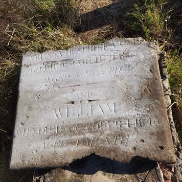 COLE Johanna Hendrieka :: ? William 