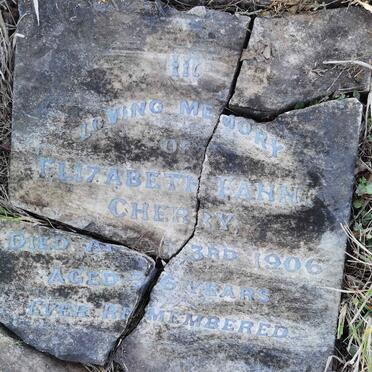 CHERRY Elizabeth Fanny -1906