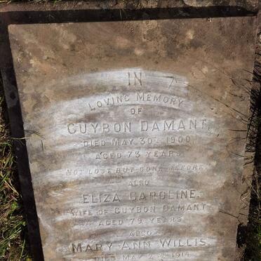 DAMANT Guybon -1900 &  Eliza Caroline  :: WILLIS Mary Ann -1914