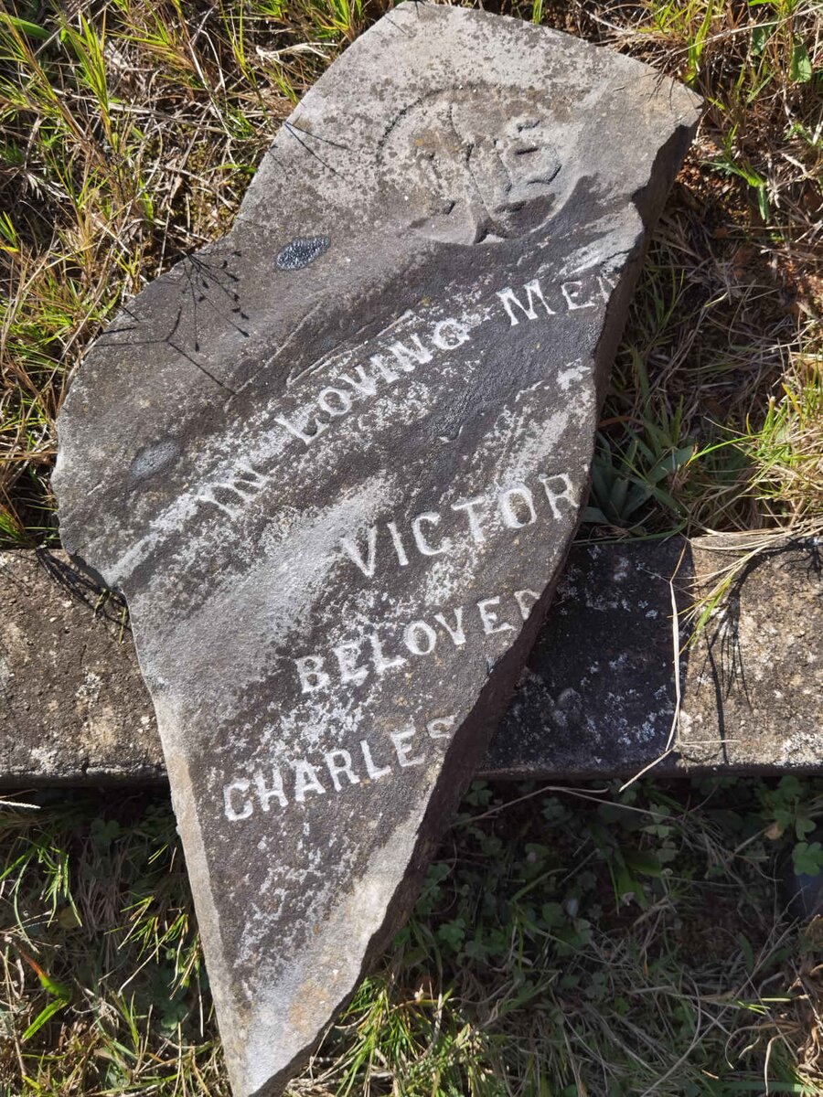 FOWLES Victoria May 1880-1894 _1