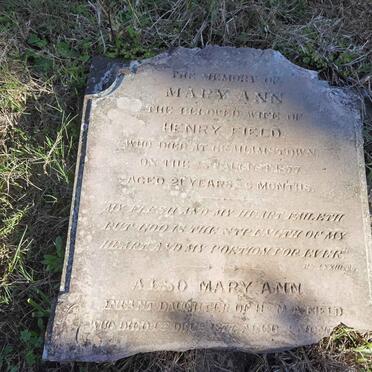 FIELD Mary Ann -1877 :: FIELD Mary Ann -1877