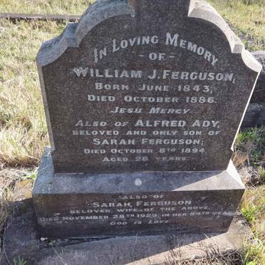 FERGUSON William J. 1843-1886 & Sarah -1929 :: FERGUSON Alfred Ady -1894