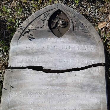 GOUGH Charles Gibbs -1890 & Mary A. -1890