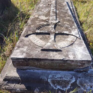 HOLLAND Jesse Mary Scott  -1863 _1