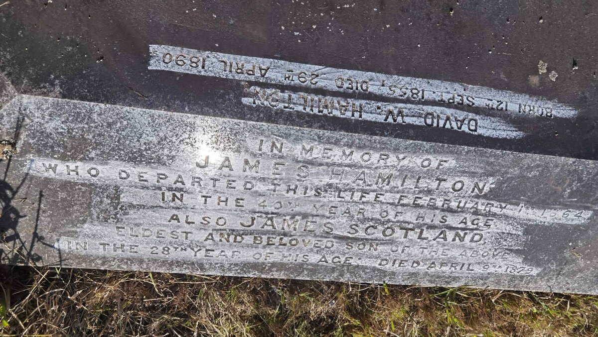 HAMILTON James -1864 :: HAMILTON James Scotland -1879 :: HAMILTON David W. 1855-1890